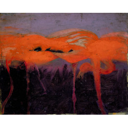 Red flamingoes 1909