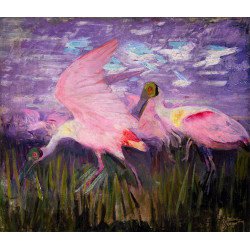 Roseate spoonbills 1909