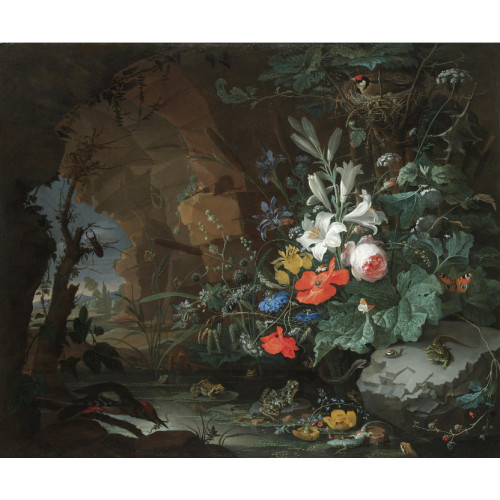 Interior of a grotto with a rock pool frogs salamanders and a bird s nest Interior of a grotto with a rock pool frogs salamanders and a bird s nest