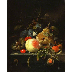 Still life fruit and nuts on a stone ledge Still life fruit and nuts on a stone ledge