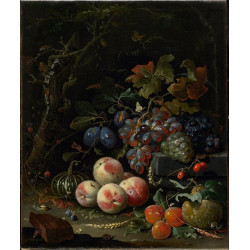 Still life with fruits foliage and insects c 1669 Still life with fruits foliage and insects c 1669