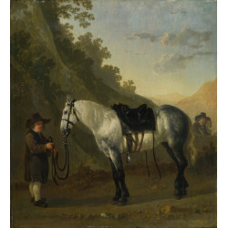 A boy holding a grey horse