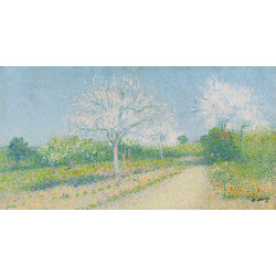 Almond trees blooming near cailhau Almond trees blooming near cailhau