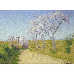 The road from limoux to alete les bains The road from limoux to alete les bains