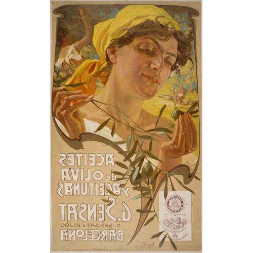 Aceites de oliva y aceitunas g sensat