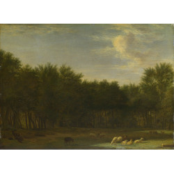 The edge of a wood The edge of a wood