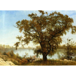 A view from sacramento