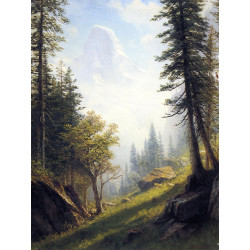 Among the bernese alps