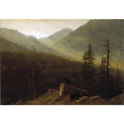 Bears in the wilderness