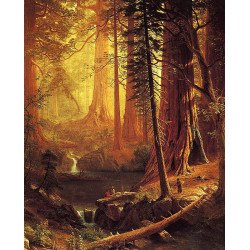 Bierstadt redwoods