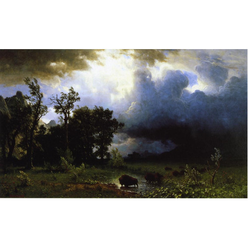 Buffalo trail the impending storm 1869