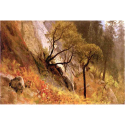 Landscape study yosemite california
