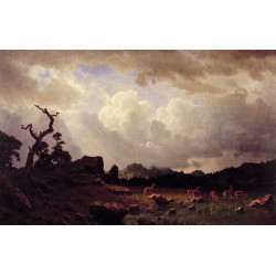 Thunderstorm in the rocky mountains Thunderstorm in the rocky mountains