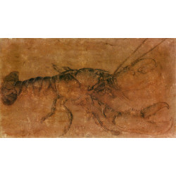 A lobster 1495 A lobster 1495
