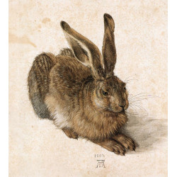 A young hare