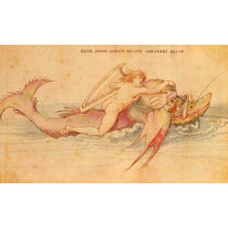 Arion 1514 Arion 1514