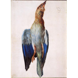 Dead bluebird 1512 Dead bluebird 1512