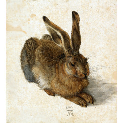 Hare 1502 1