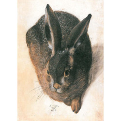 Hare 1528 1