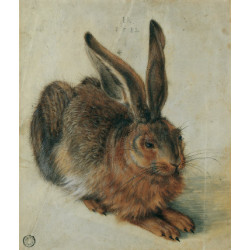 Hare 1528