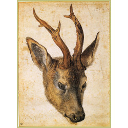 Head of a stag