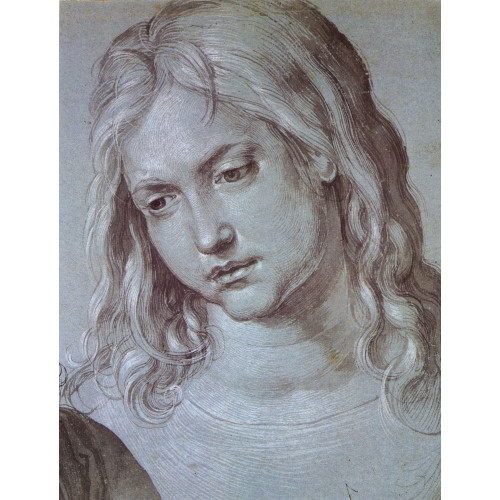 Head of the twelve year old christ
