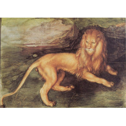Lion 1494