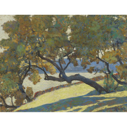 The great tree at the edge of the sea