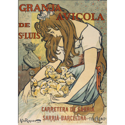 Granja avicola de sn luis