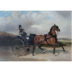 Baron lionel de rothschild