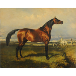 Caballos en libertad