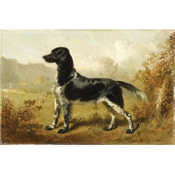 Dash dedreux musee conde