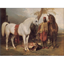 The mounts of abd el kader