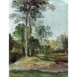 Avenue in the country