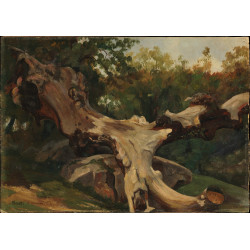 Uprooted tree olevano 1833