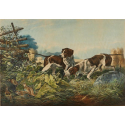 Am field sports on a point