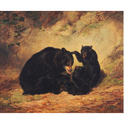 Bears 3a