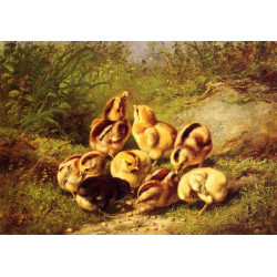 Chicks rather hard fare