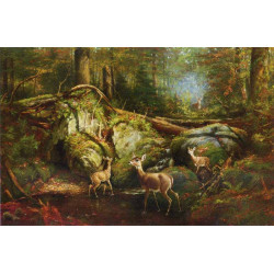 Deer in the adirondacks