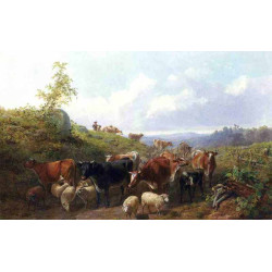 Down the road in franklin county new york