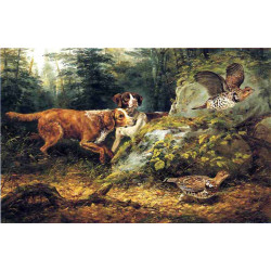 Flushed ruffed grouse shooting