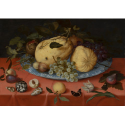 Fruit still life with shells