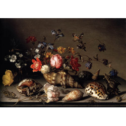 Still life of flowers shells and insects