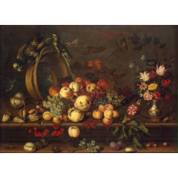 Still life with fruits shells and insects