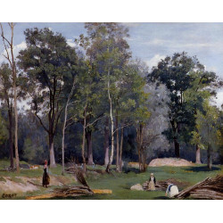 In the woods at ville d avray