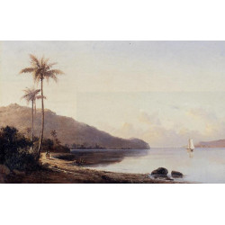A creek in saint thomas antilles 1856