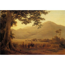 Antilian landscape st thomas 1856