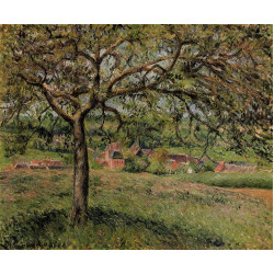 Apple tree at eragny 1884