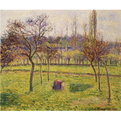 Apple trees in a field 1892