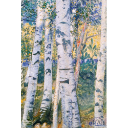 Birch trees 1910
